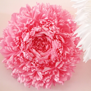 超大紙花藝術(shù)