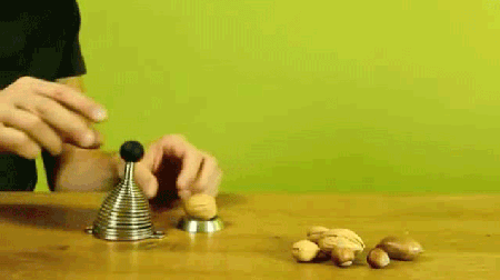 砸核桃與堅果的彈簧