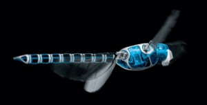 機(jī)械蜻蜓