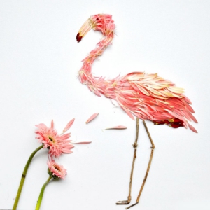 繽紛花鳥