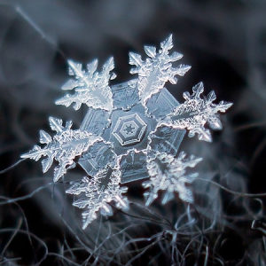 微距下的美麗雪花