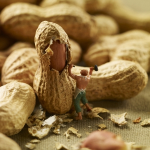 食物的故事——趣味微縮攝影